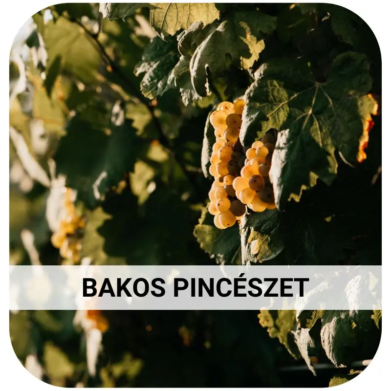 Bakos Pincészet