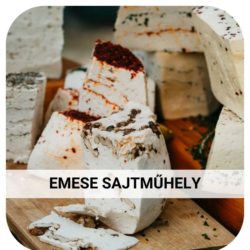 Emese Sajtműhely