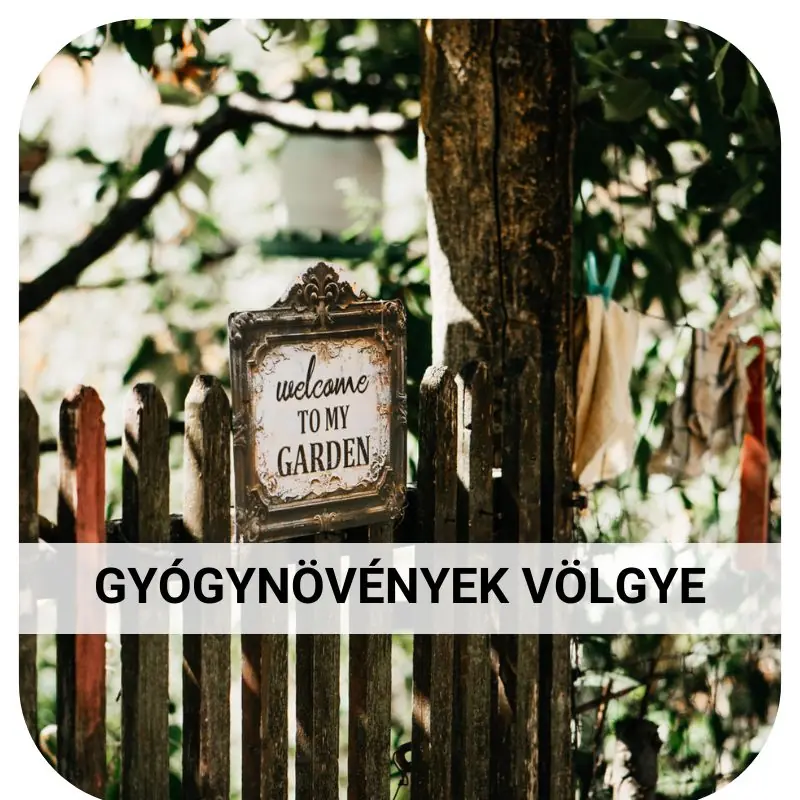 Gyógynövények Völgye