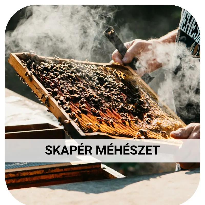 Skapér Méhészet