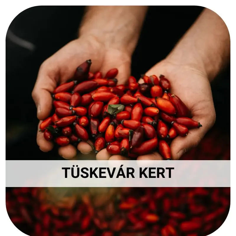 Tüskevár Kert